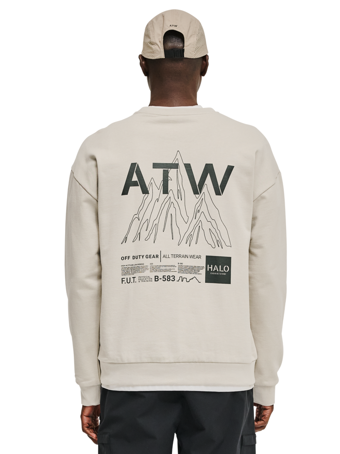 HALO GRAPHIC CREW 02, SILVER LINING, model