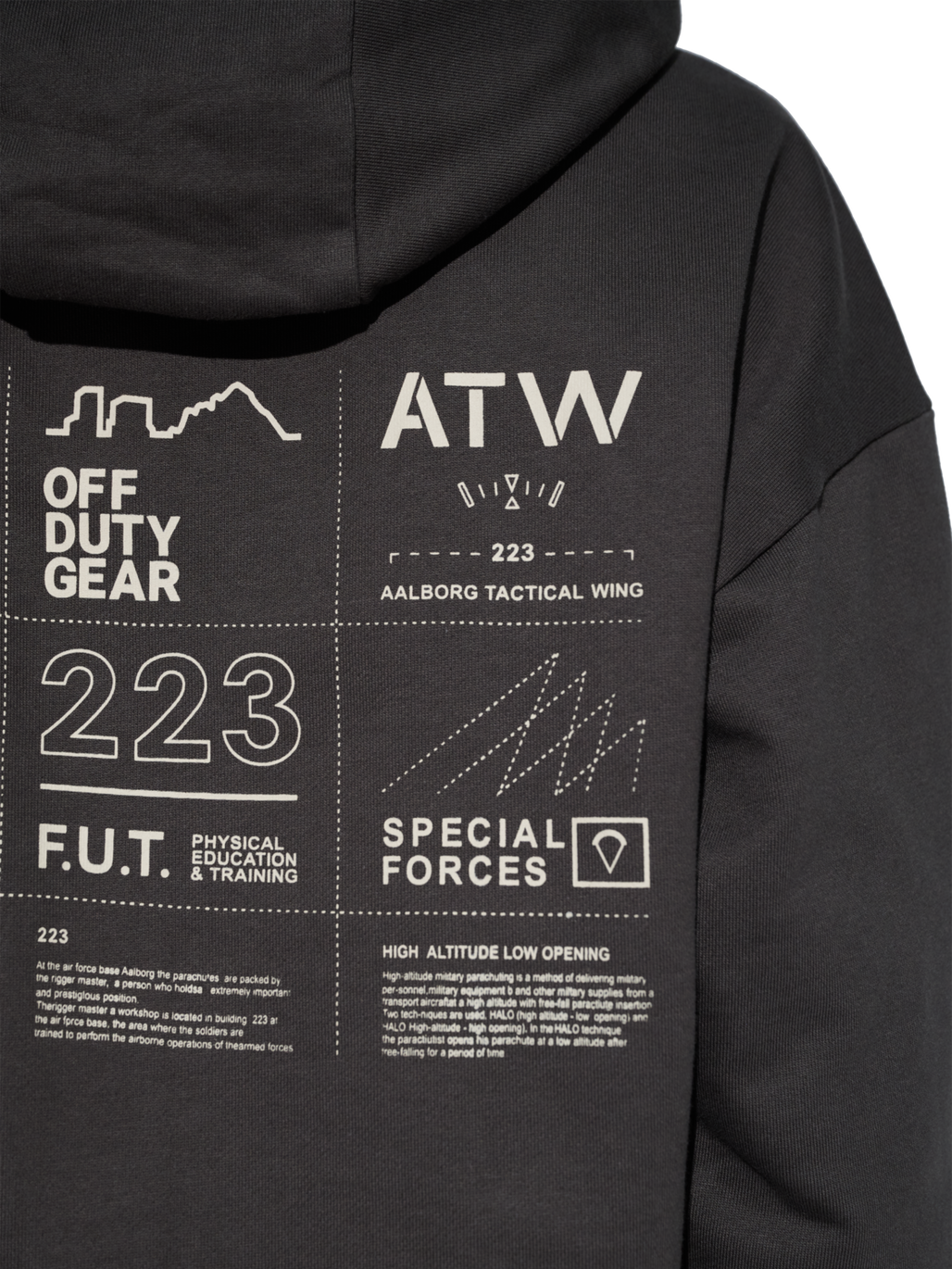 HALO GRAPHIC HOODIE, RAVEN, model