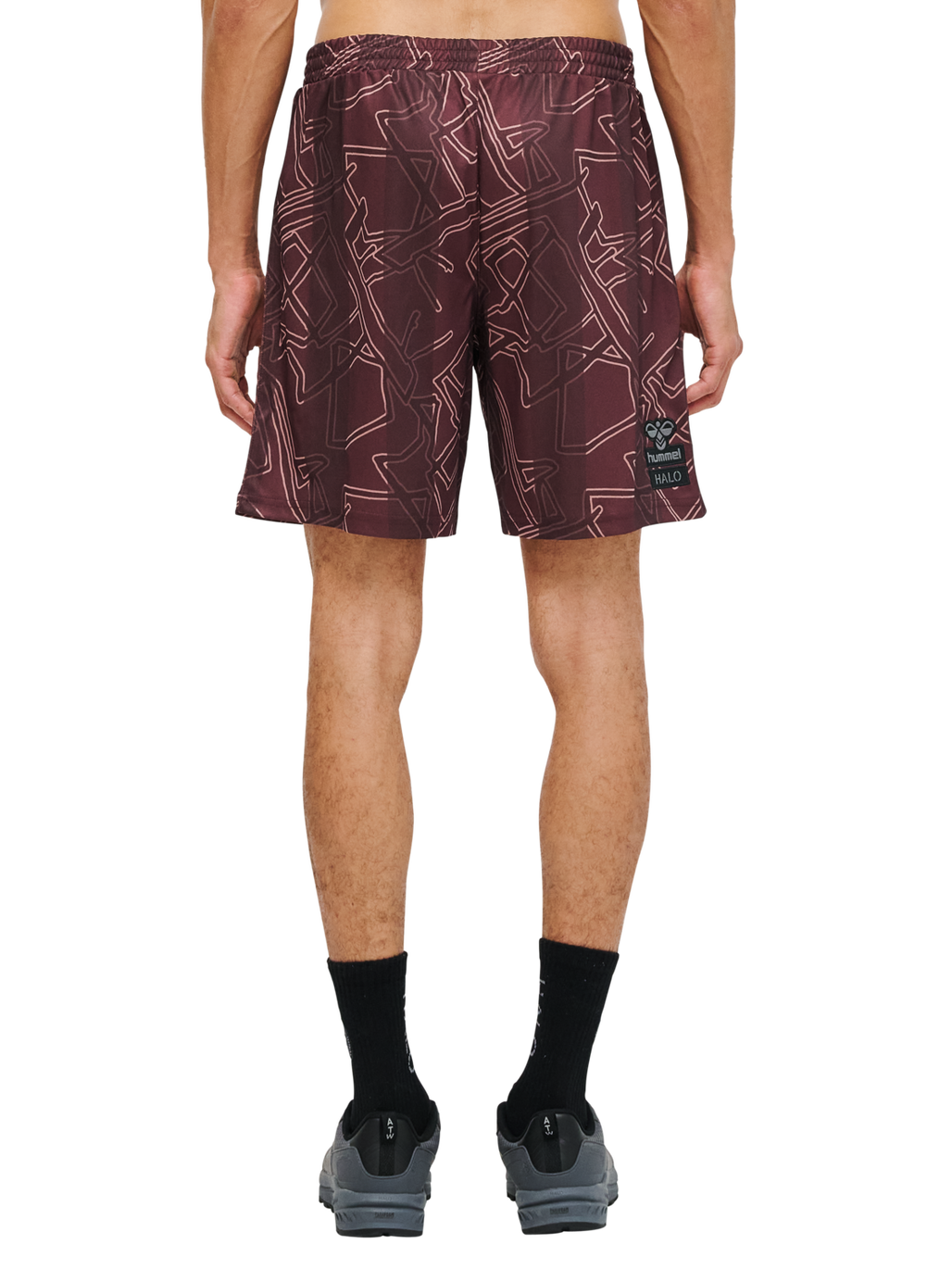 DBU-HALO 24 SHORTS, PORT ROYALE, model