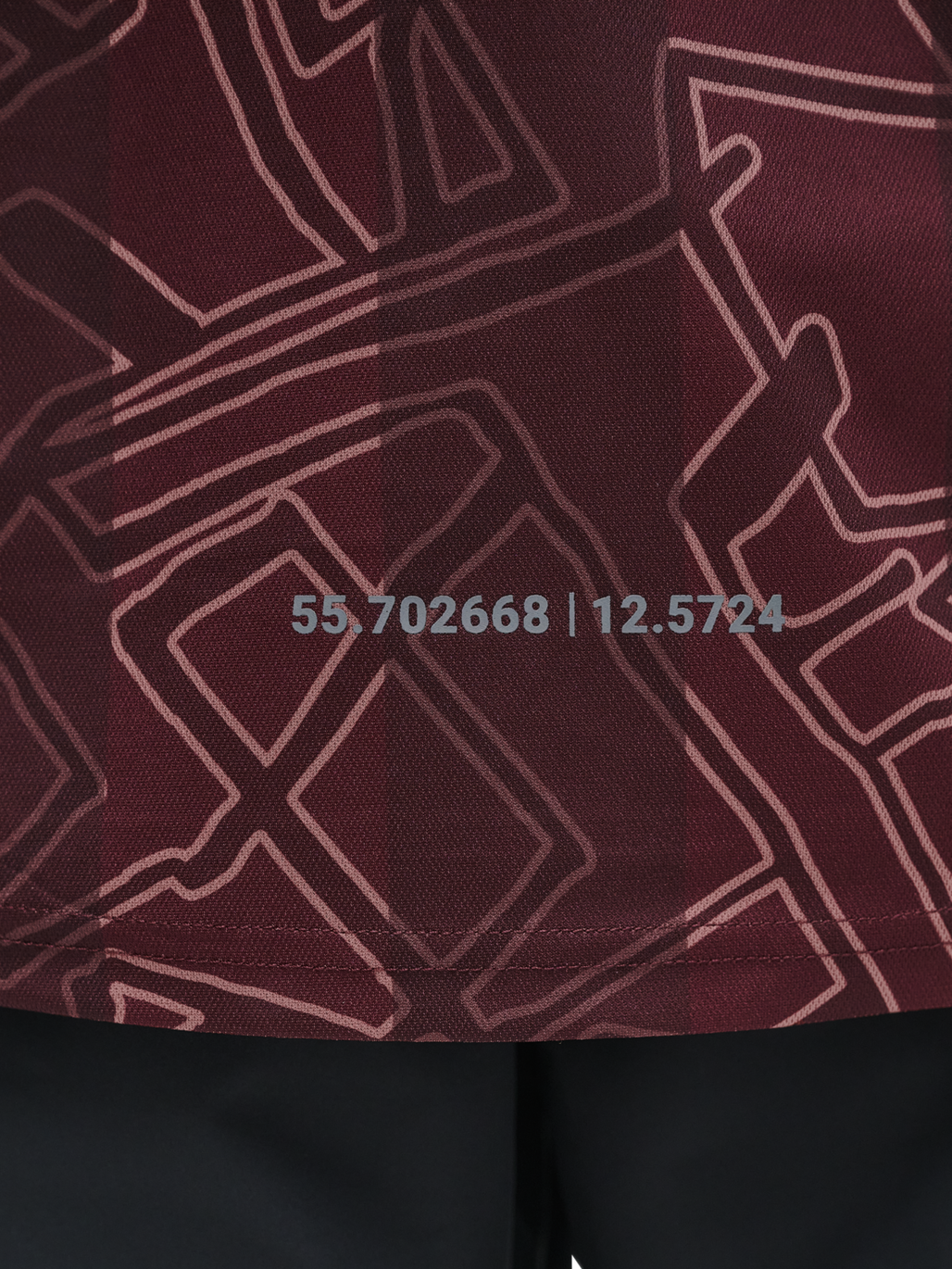 DBU-HALO 24 JERSEY L/S, PORT ROYALE, model