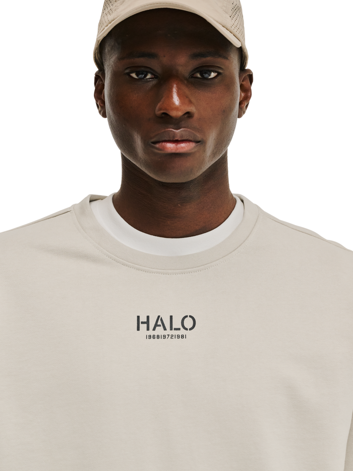 HALO GRAPHIC CREW 02, SILVER LINING, model