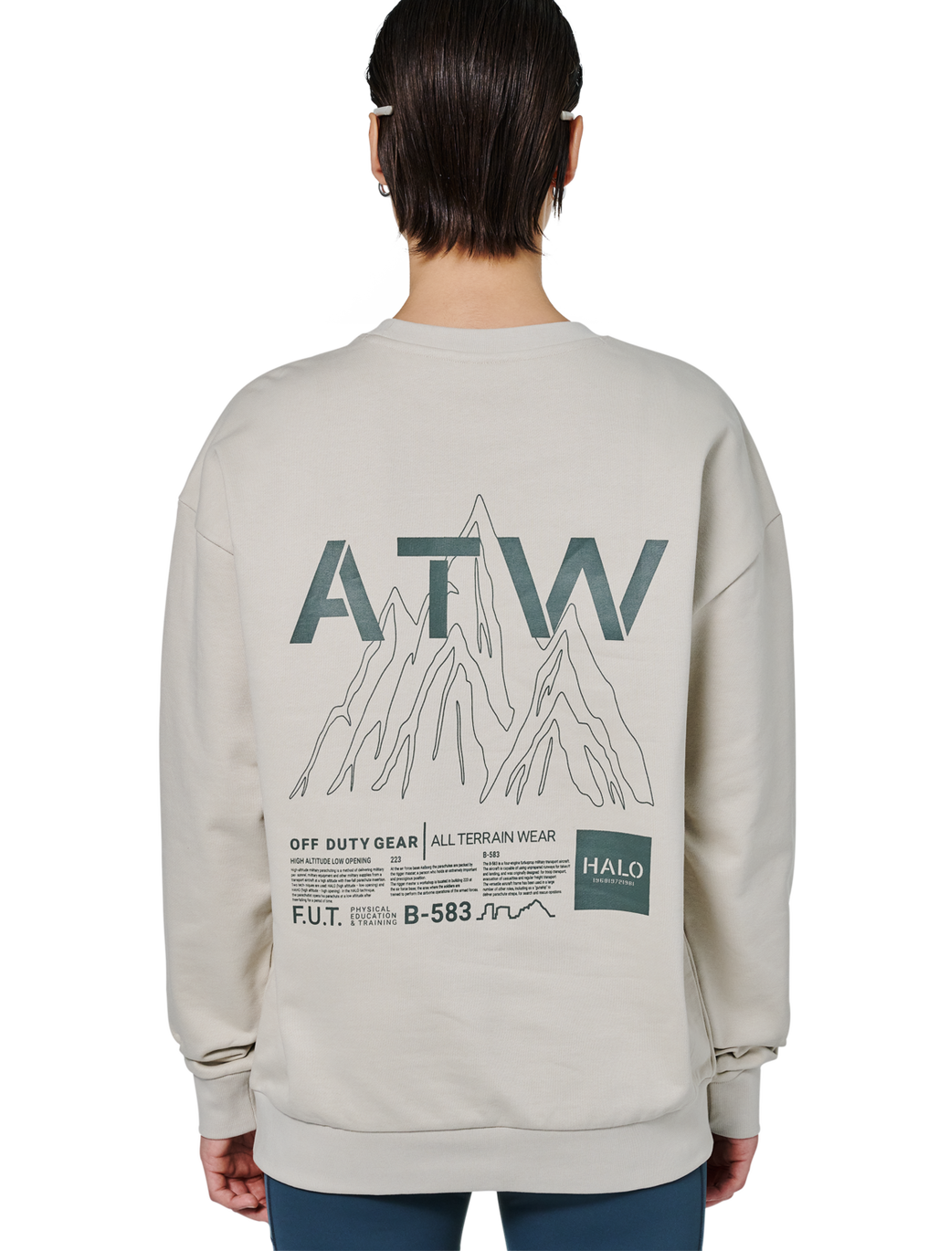 HALO GRAPHIC CREW 02, SILVER LINING, model