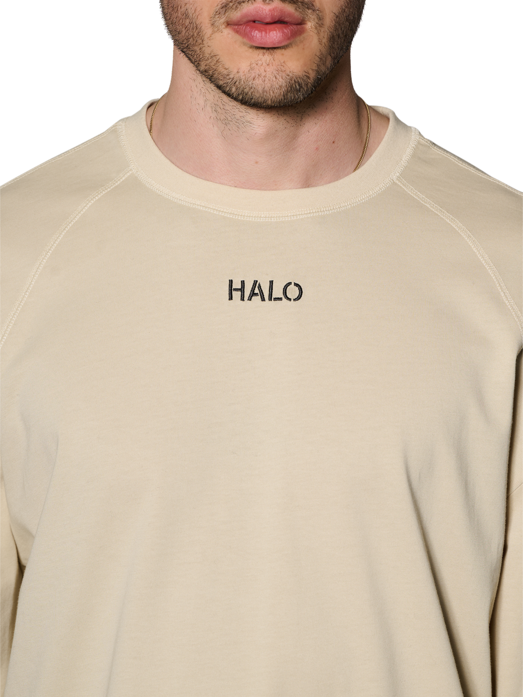 HALO CORDURA L/S T-SHIRT, OYSTER GRAY, model