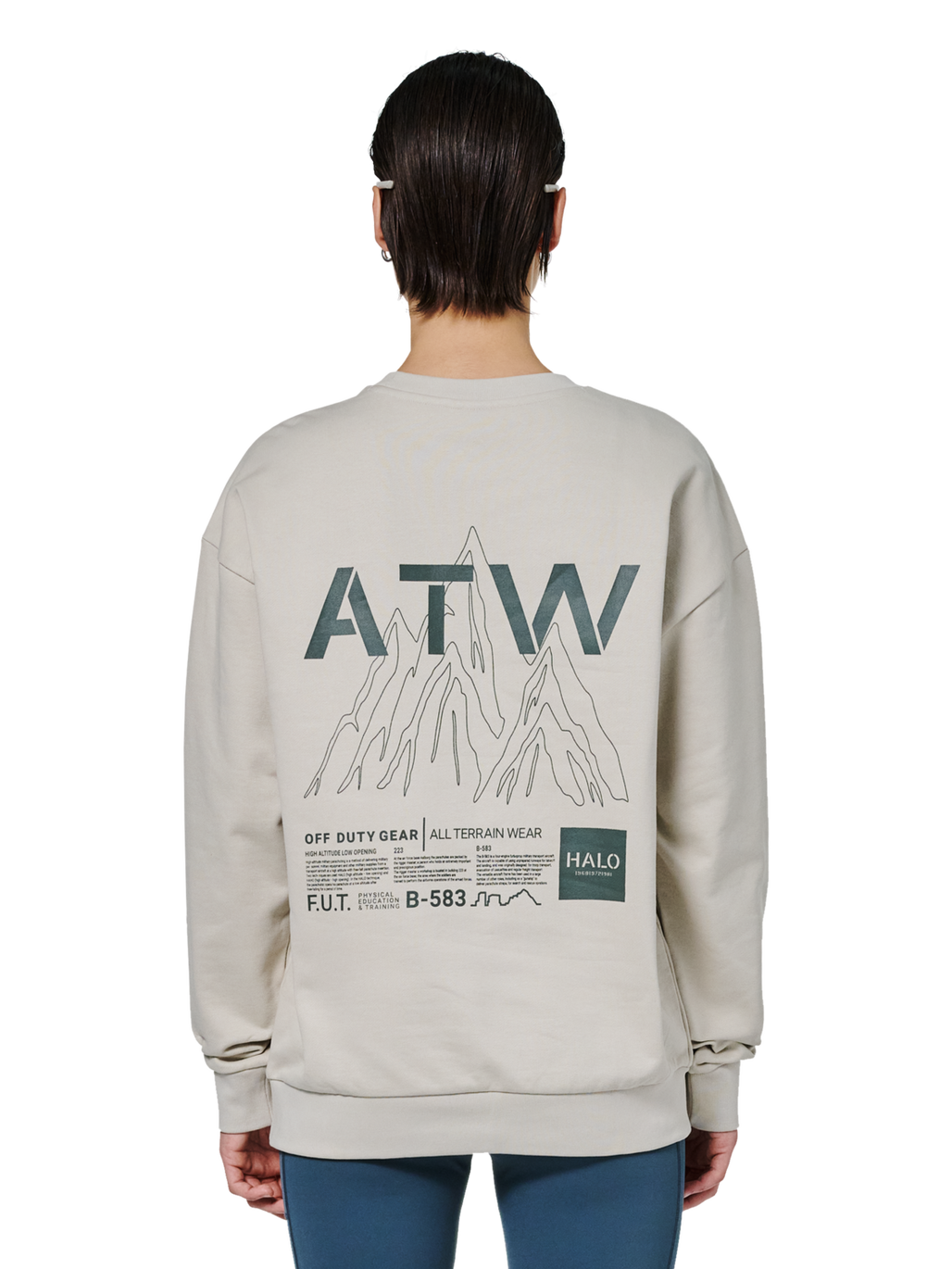 HALO GRAPHIC CREW 02, SILVER LINING, model